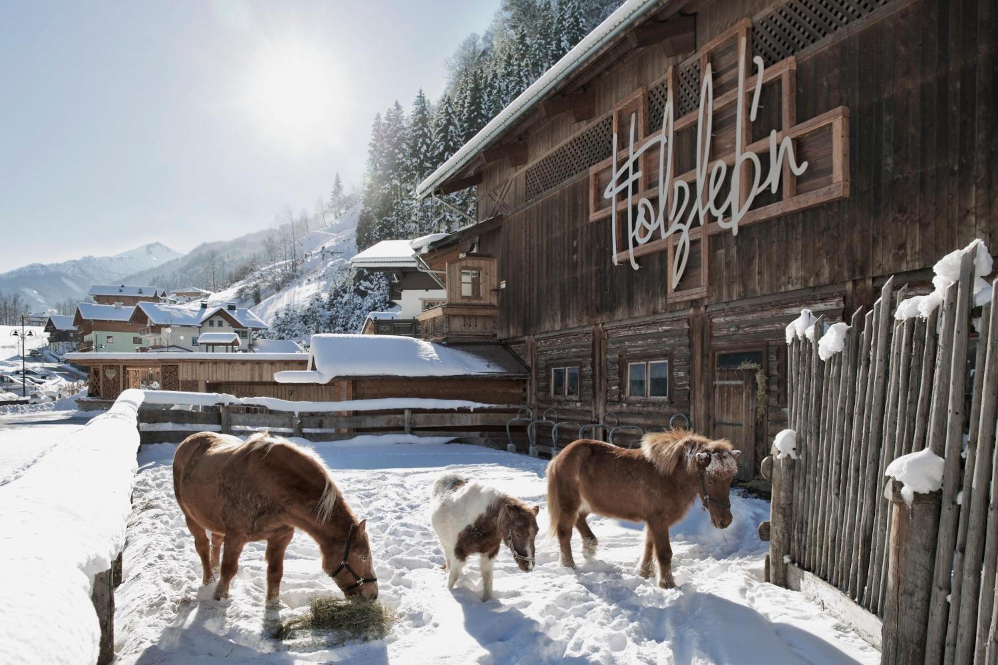 Feriendorf Holzlebn Grossarl Exterior foto